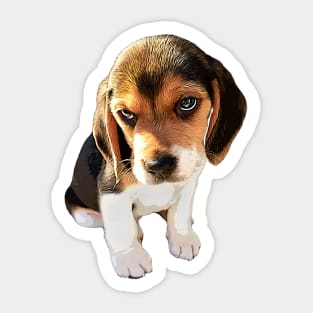 Beagle Dog Cute Puppy Eyes Sticker